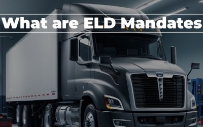 What-are-ELD-Mandates-Featured-image-