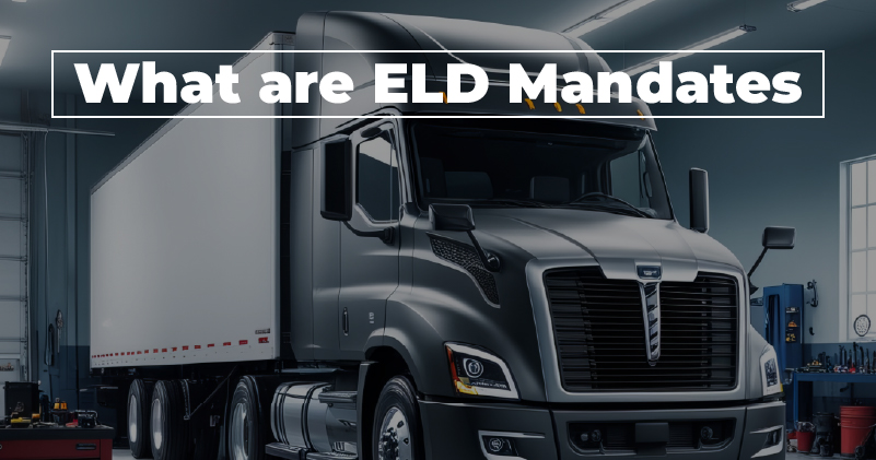 What-are-ELD-Mandates-Featured-image-